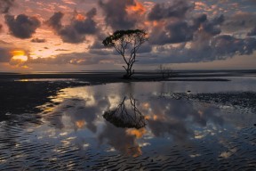 世界拳击超级夜：青年拳手职业化推动赛事生态升级，世界拳击视频